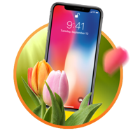 500 000 руб + iPhone X 256 GB